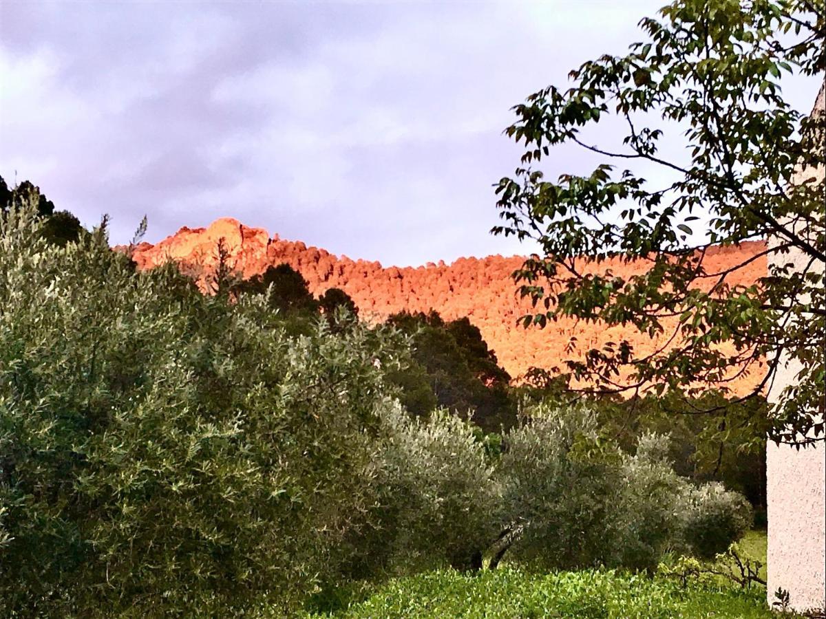 Casa Rural Cortijo La Ajedrea Siles Exteriör bild