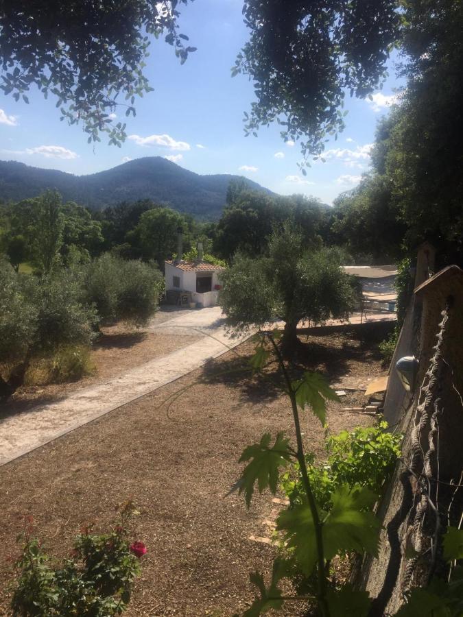 Casa Rural Cortijo La Ajedrea Siles Exteriör bild
