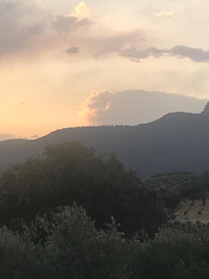 Casa Rural Cortijo La Ajedrea Siles Exteriör bild